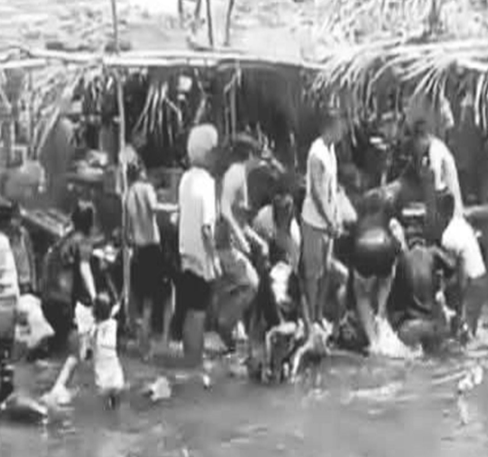 Father dies trying to retrieve child’s slipper from river — Are small risks becoming fatal decisions?